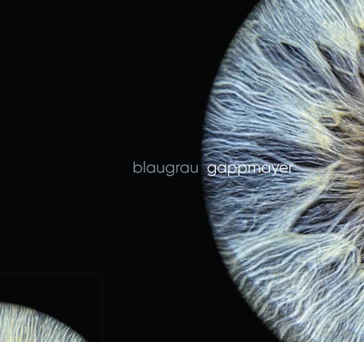 Blaugrau – Wernfried Gappmayer