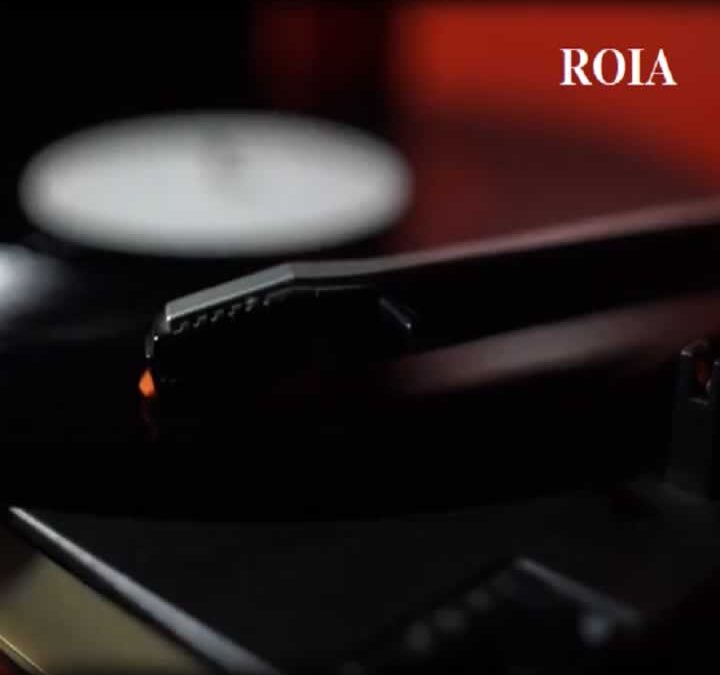 Telling Silence – ROIA